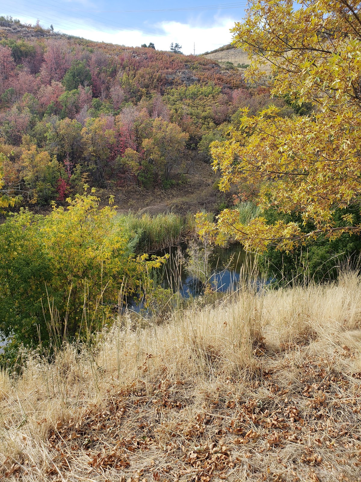 Mchenry Creek Campground - Jordanelle State Park