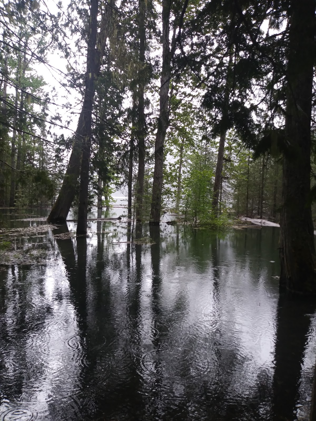 Spar Lake Campground