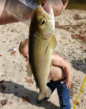 Eastatoee River RV Park