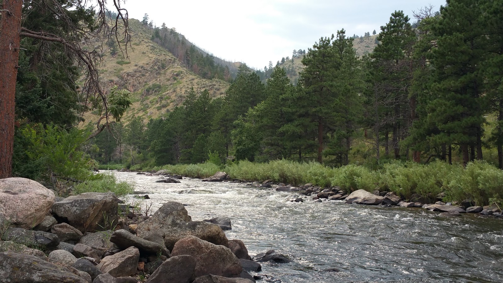 Fort Collins/ Poudre Canyon KOA