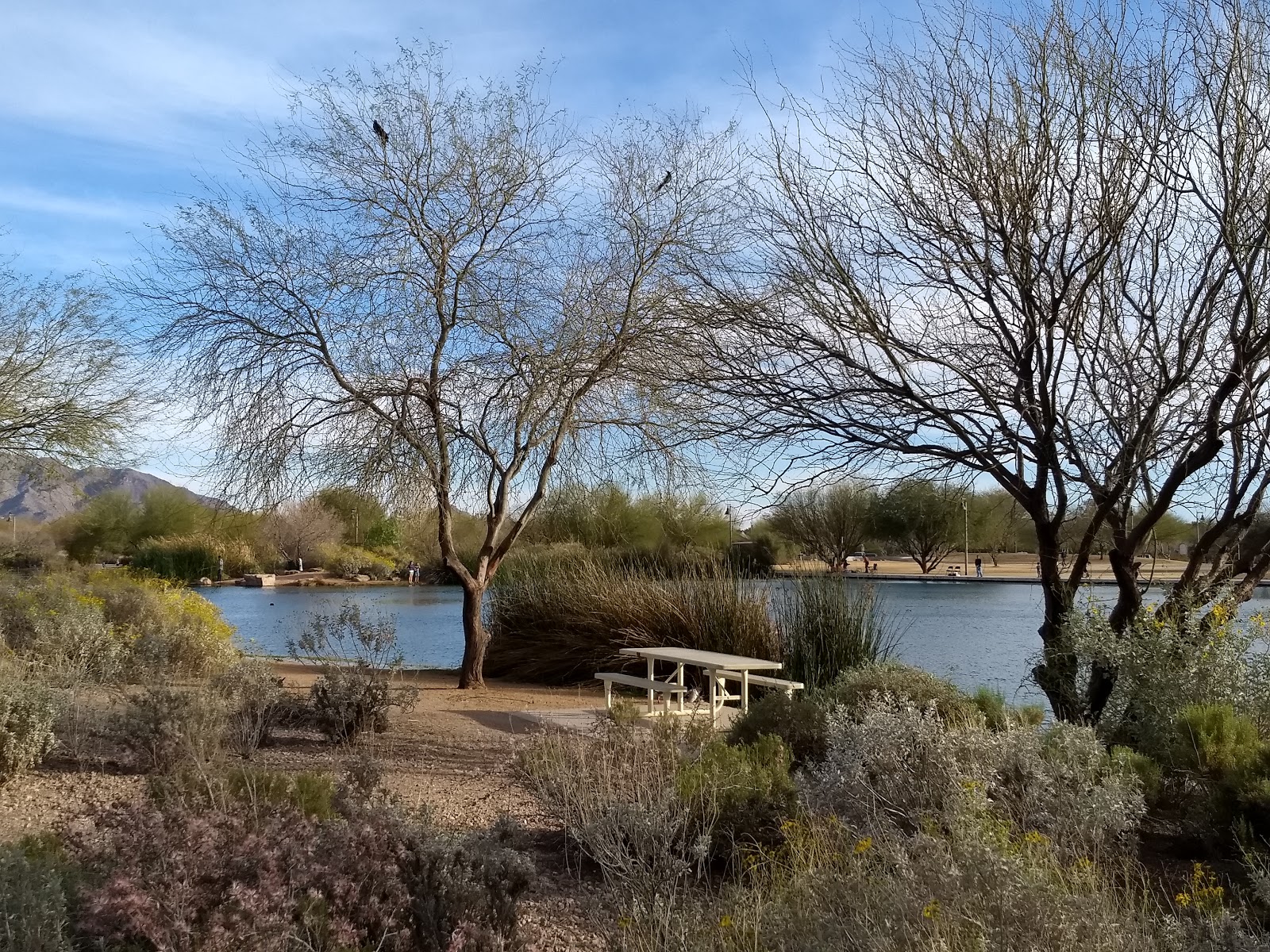 Veterans Oasis Park