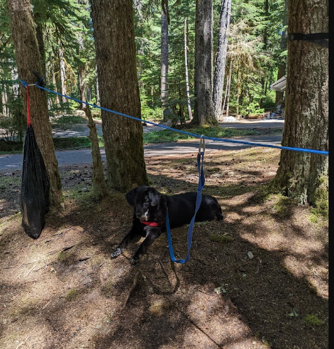 Lost Creek Campground