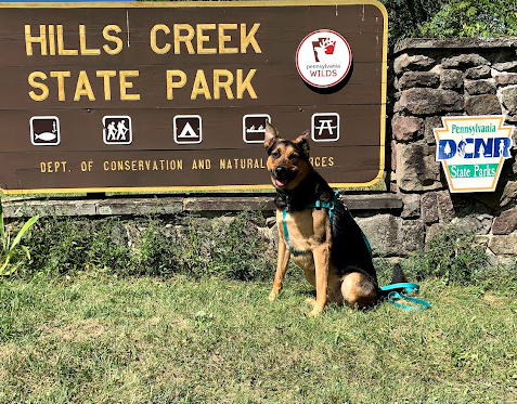 Hills Creek State Park