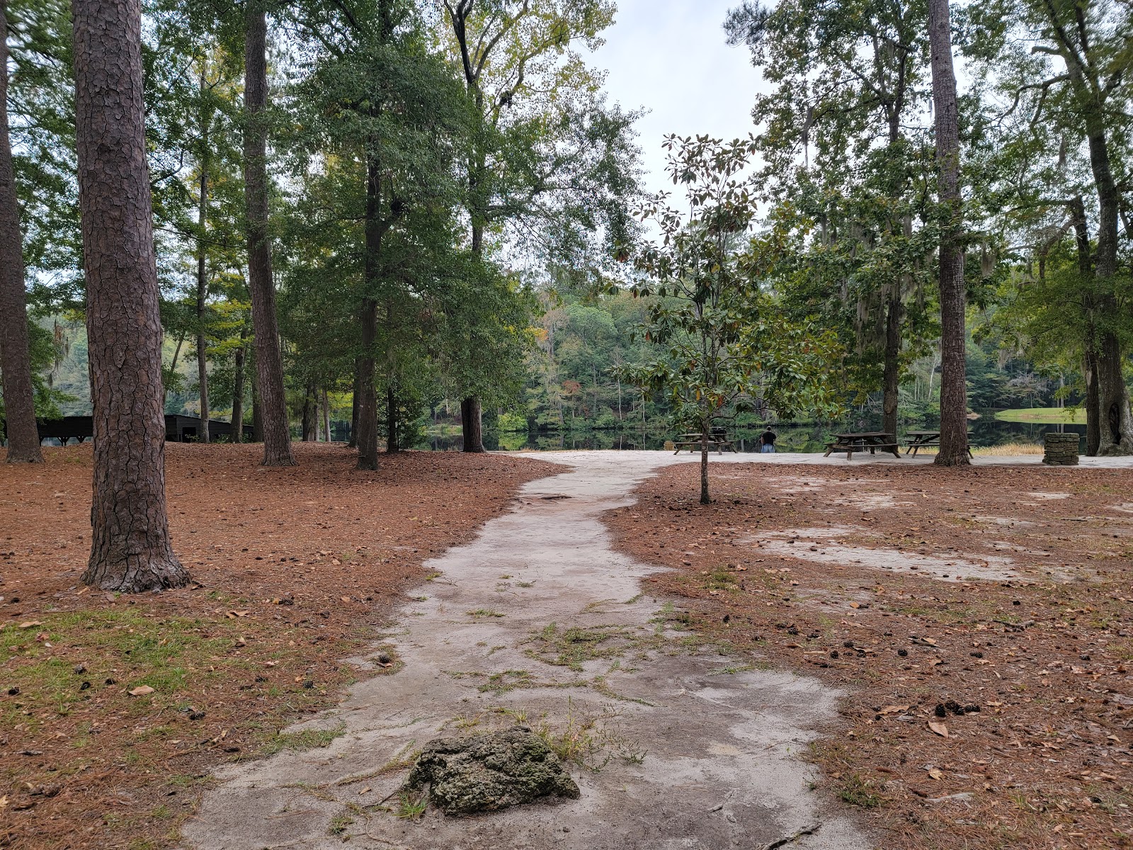 Poinsett State Park