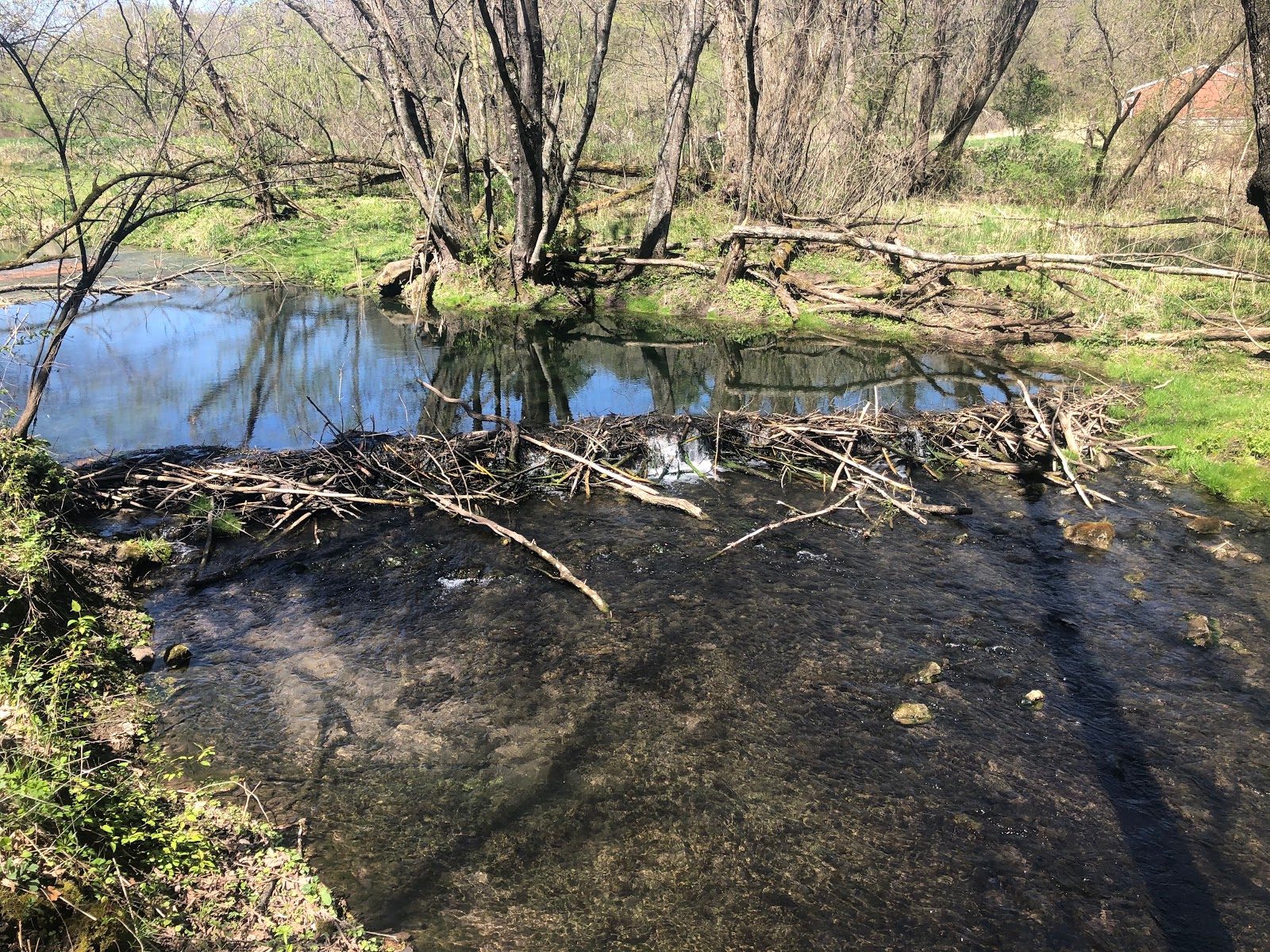 Highland General Store