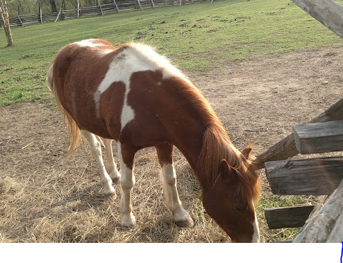 David Crockett Birthplace State Park