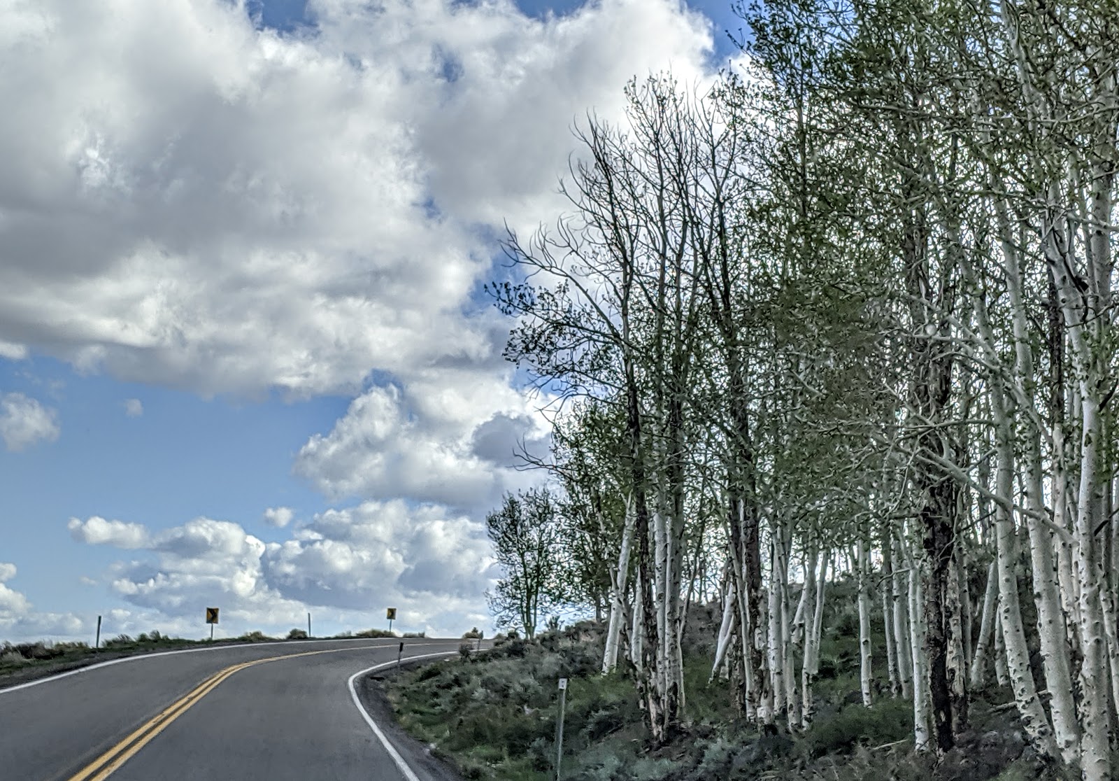 Doctor Creek Campground