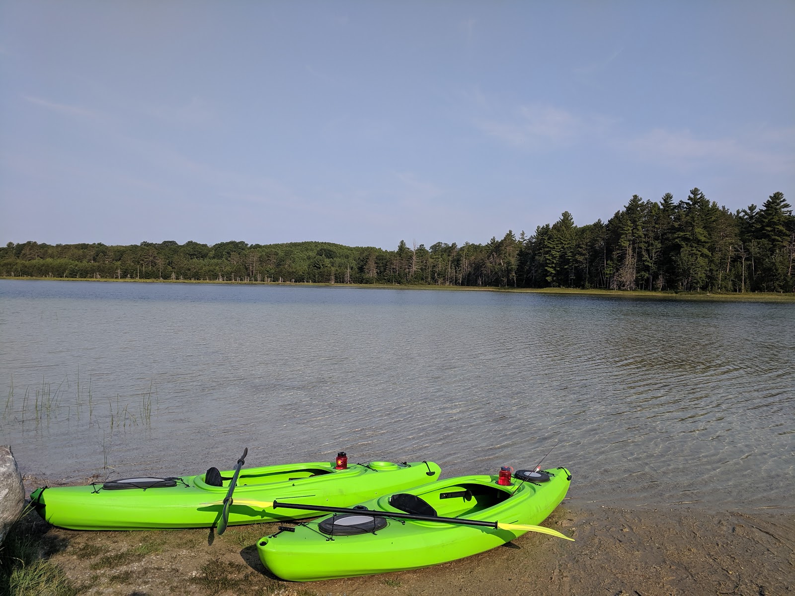 Pickerel Lake Otsego SF Campground