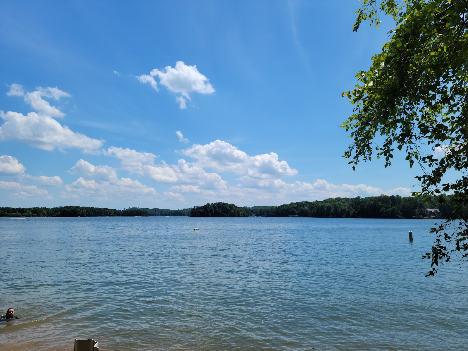 Little Hall Shelter (GA)
