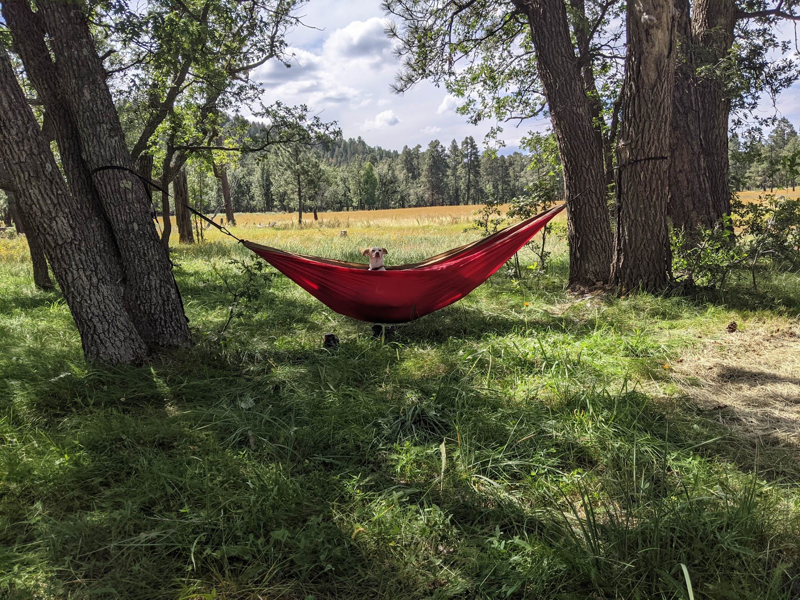 Los Burros Campground