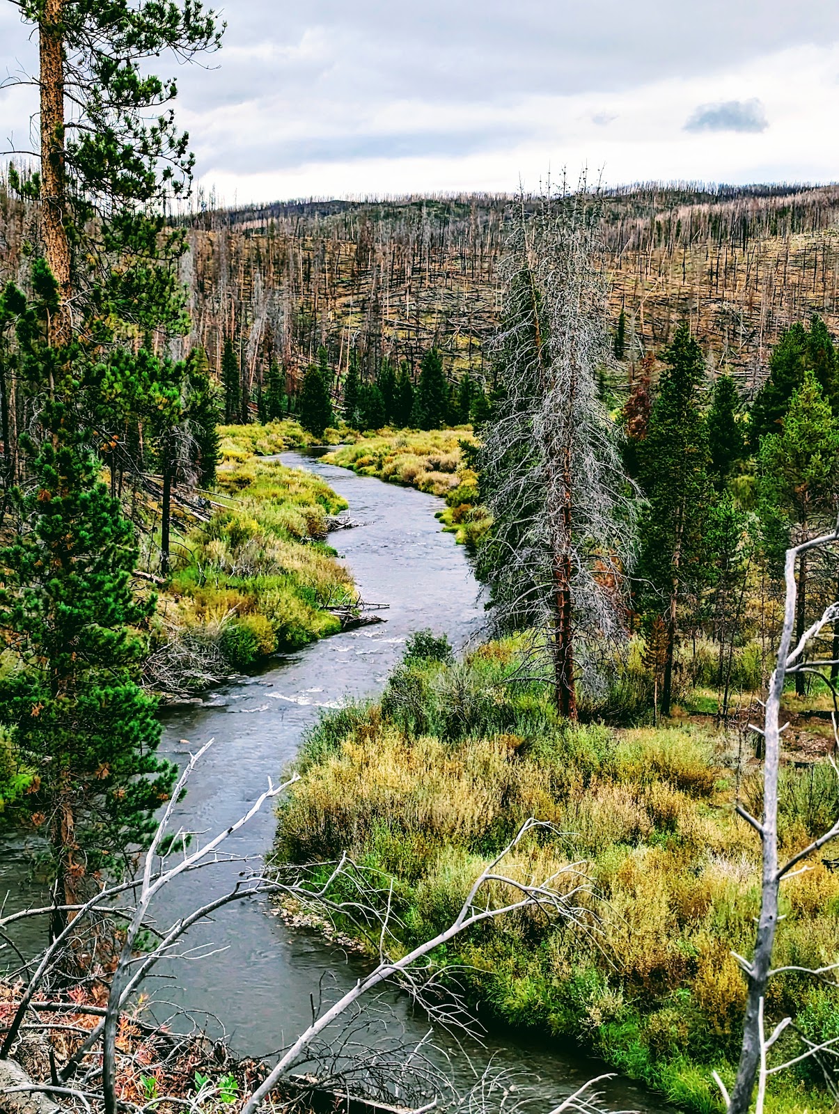 Pelton Creek Campground