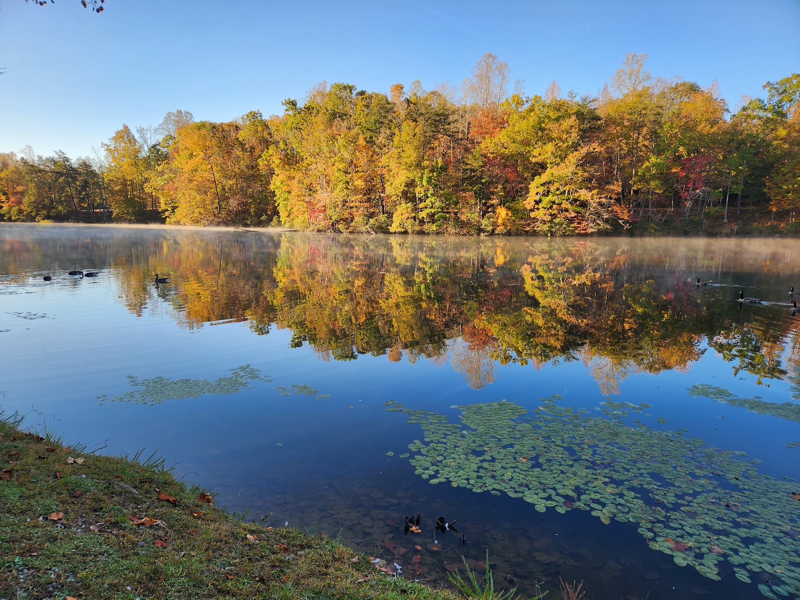 Swan Lake Campground