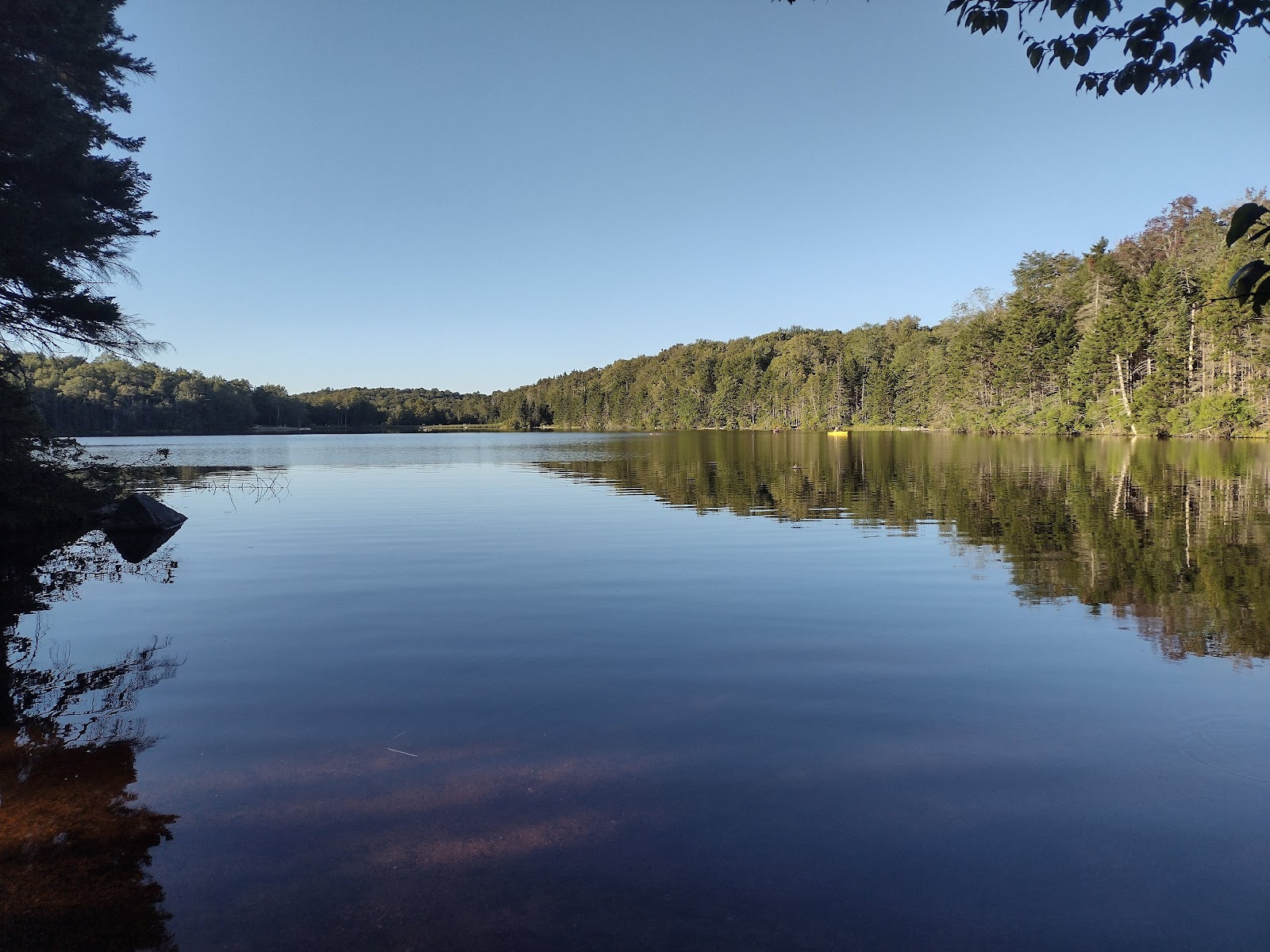 Steam Mill Clearing Forest Camping