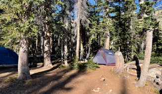 Buckingham Campground - Fourth of July