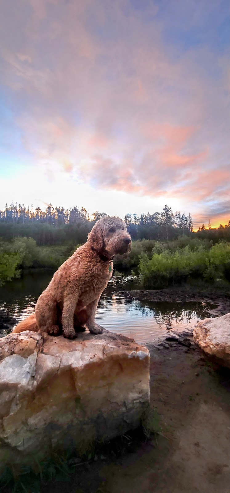 Jack Creek Campground