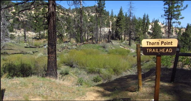 Thorn Meadows Campground