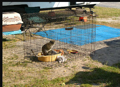 Briarcliffe RV Resort Inc