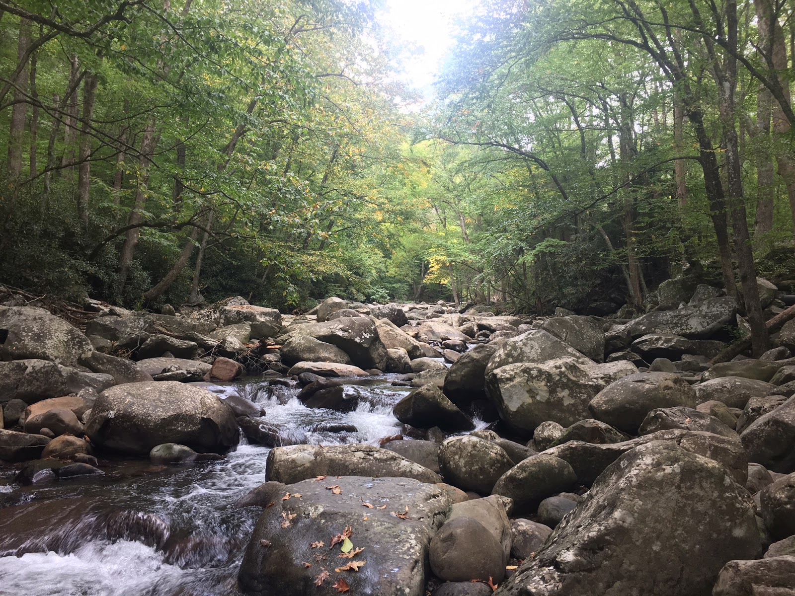 Birds Creek Campground