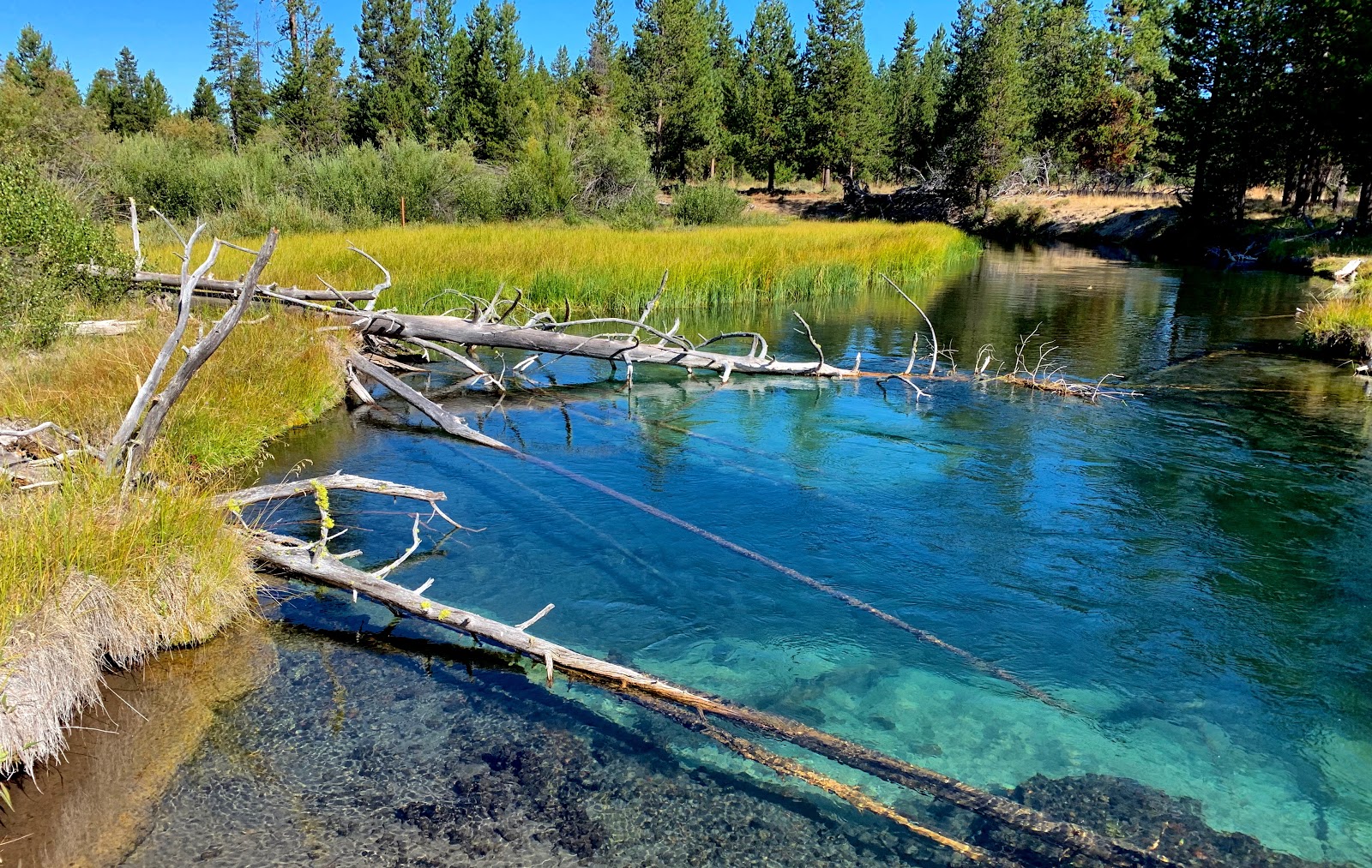 Fall River Campground