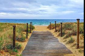 Scusset Beach State Reservation