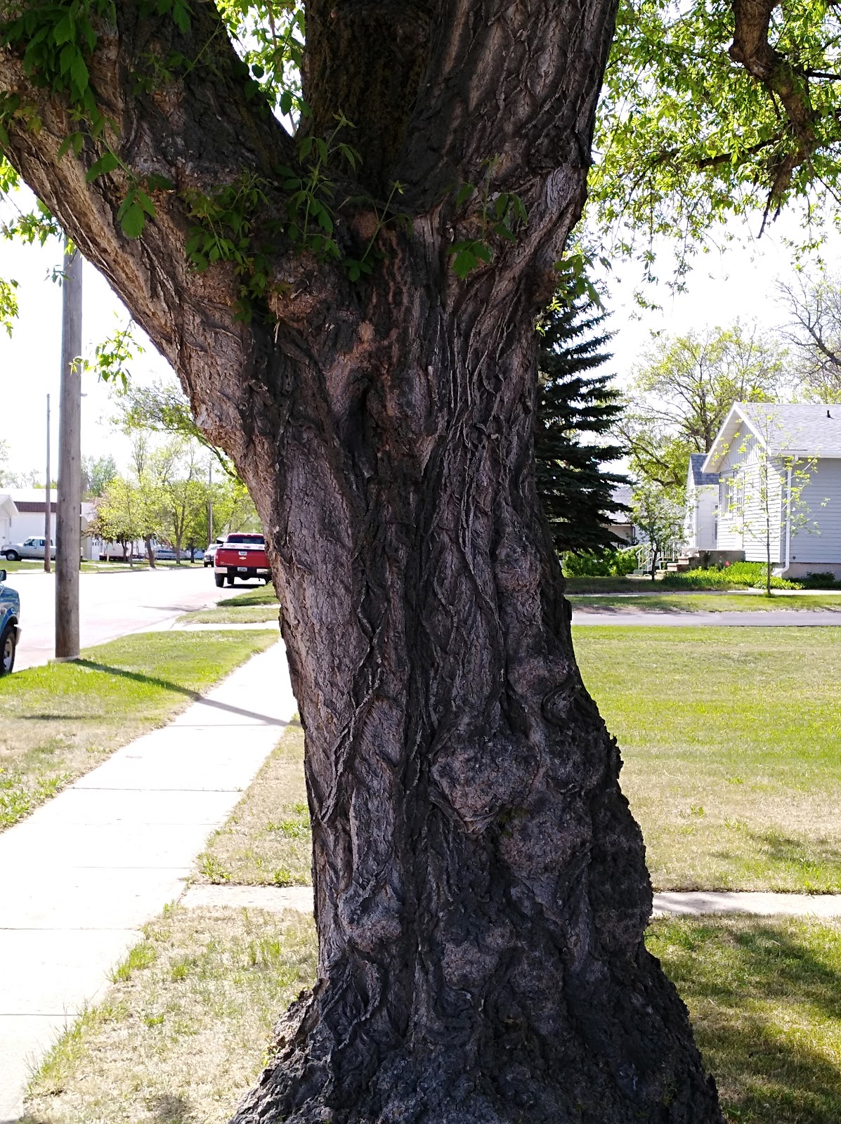 C & S Trailer and RV Court