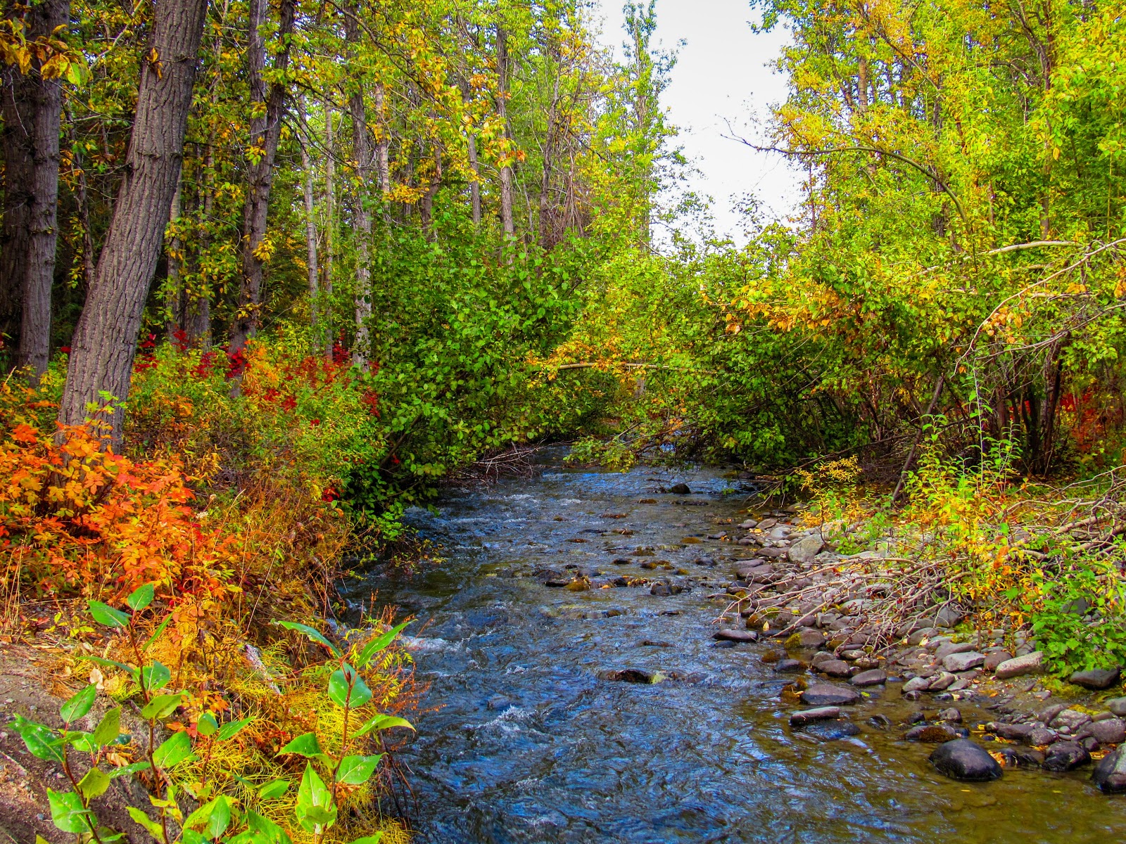 Squirrel Creek State Recreation Site