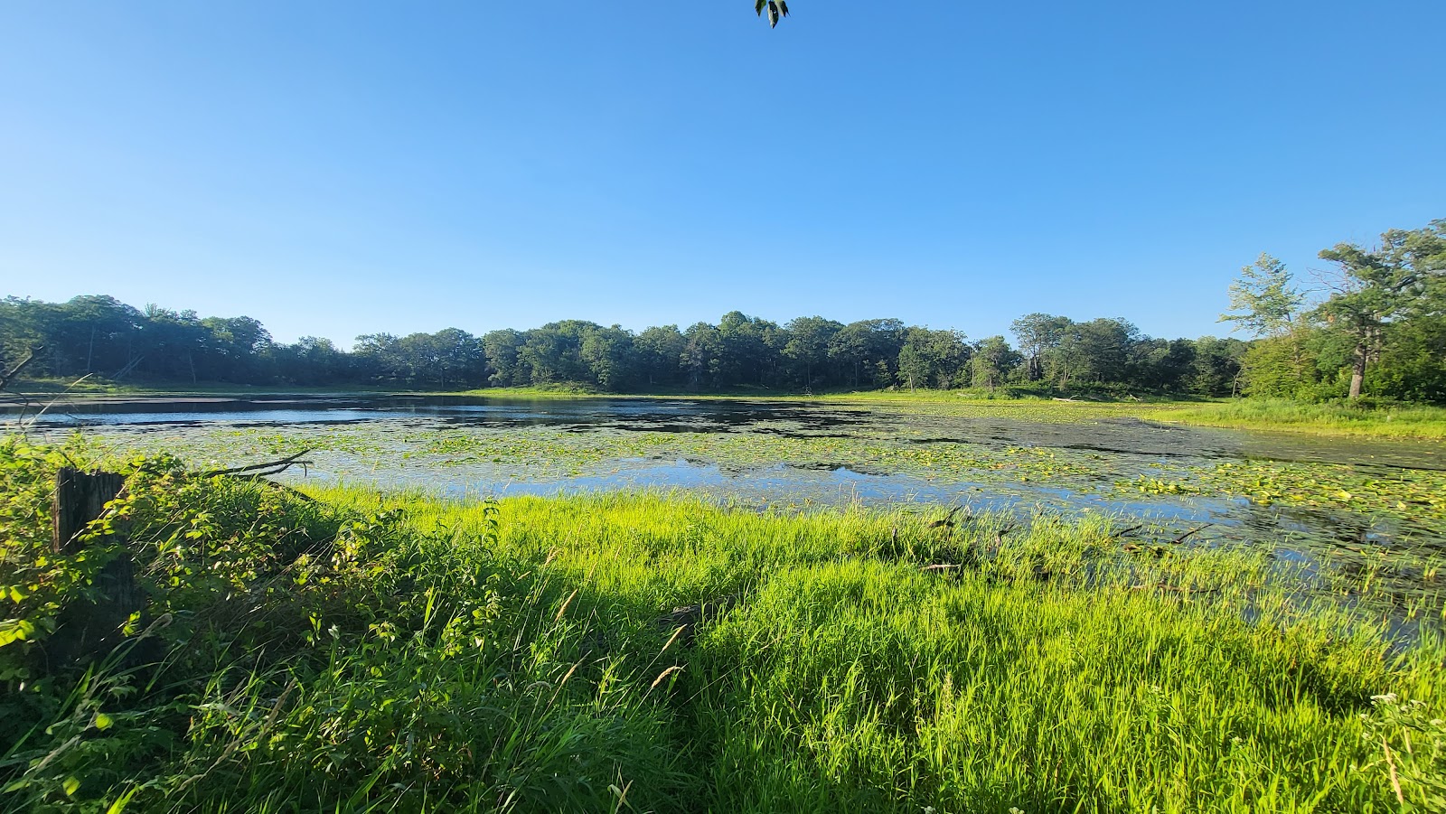 Lake Maria State Park