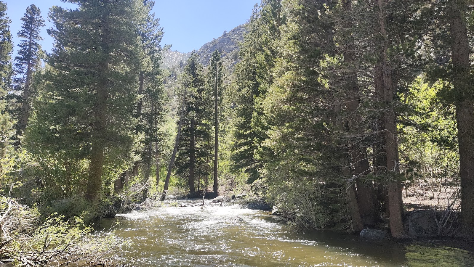 Iris Meadow Campground