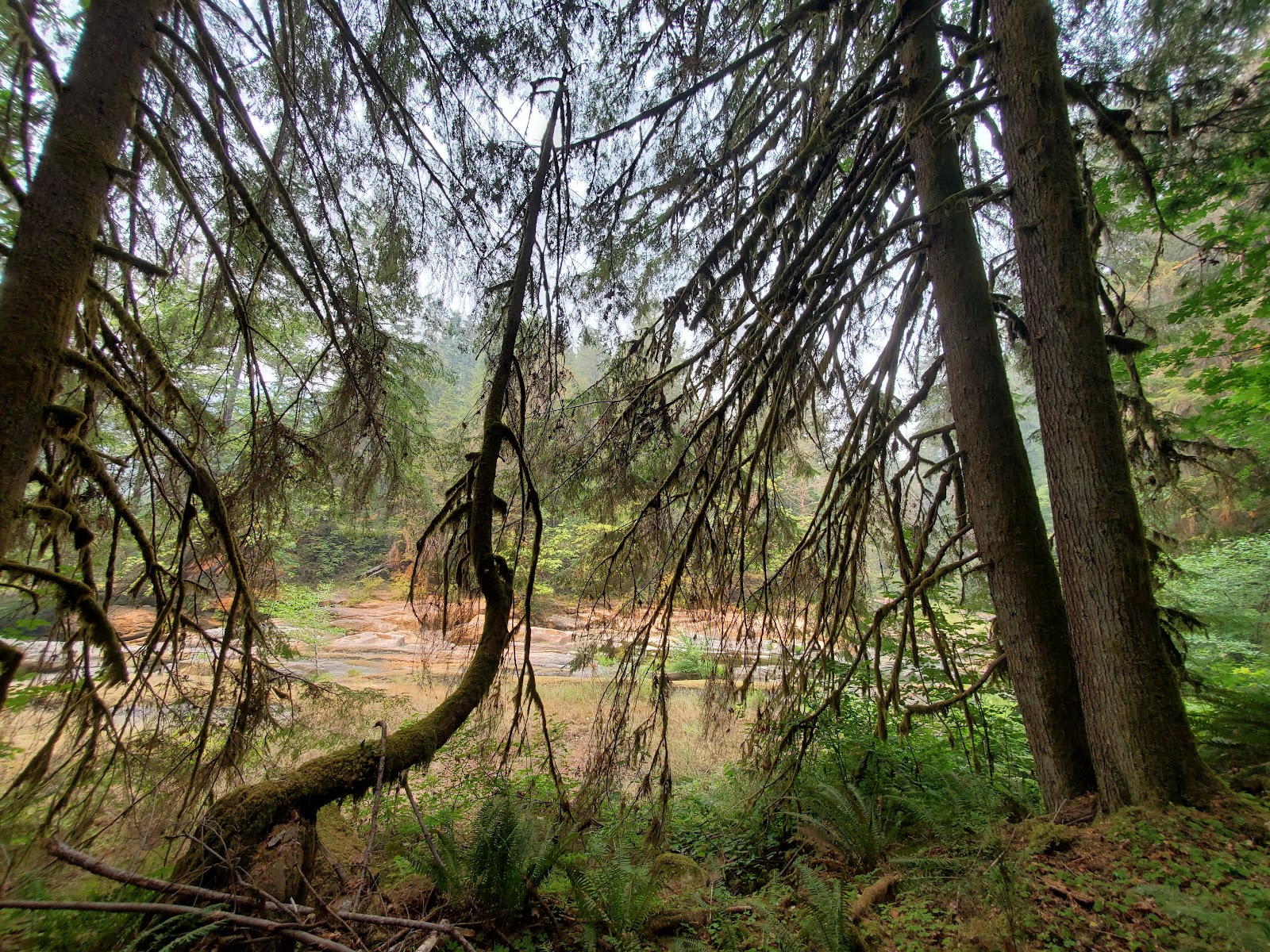 Wolf Creek Campground