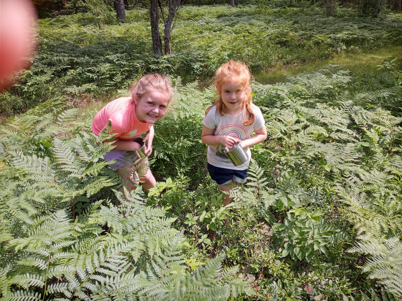 Rohr's Wilderness Tours