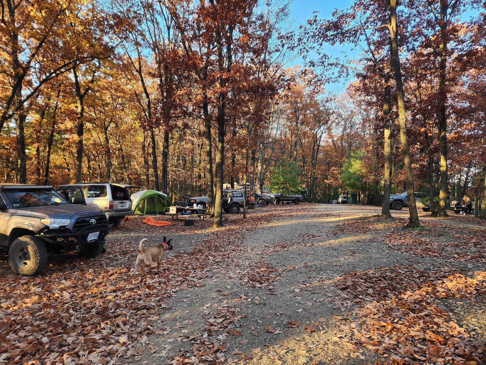 Mossy Point Campground