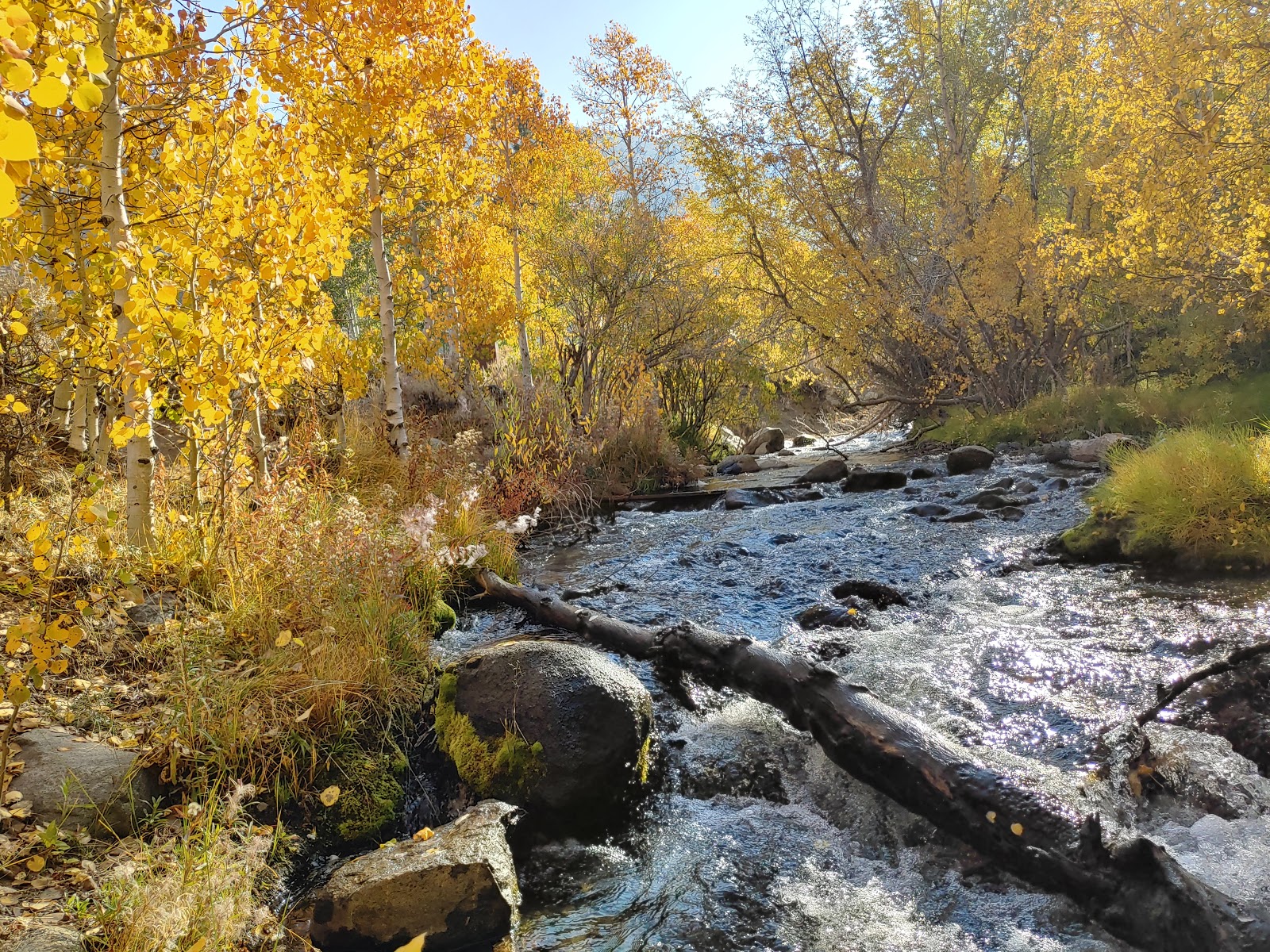 Four Jeffrey Campground