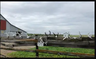 Swan Creek Recreation Area