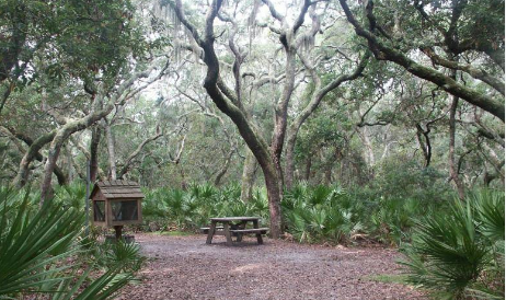 Cumberland Island National Seashore Camping Permits