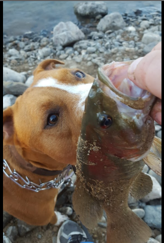 Prineville Reservoir Resort