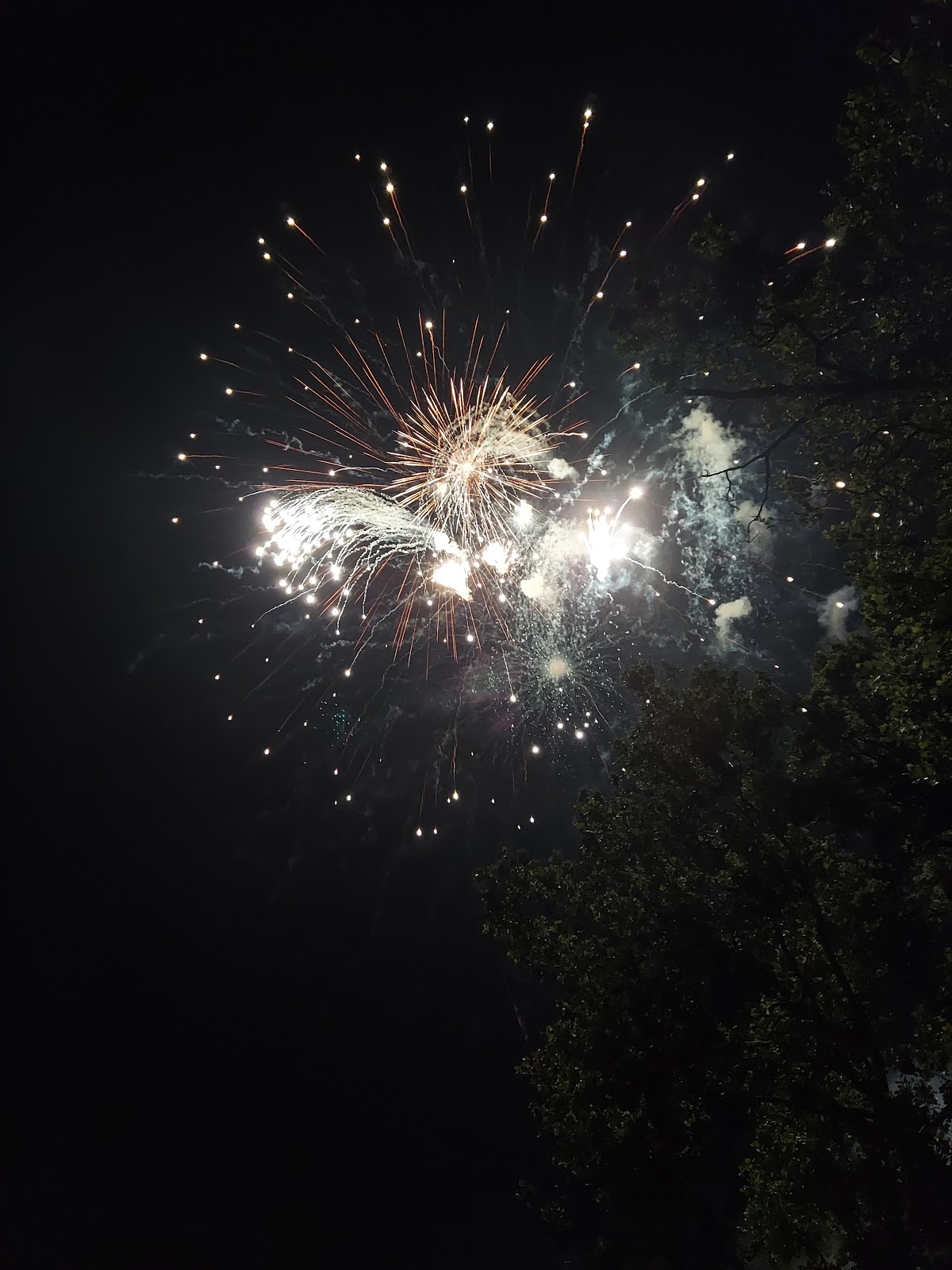 Ravenswood Overlook Park