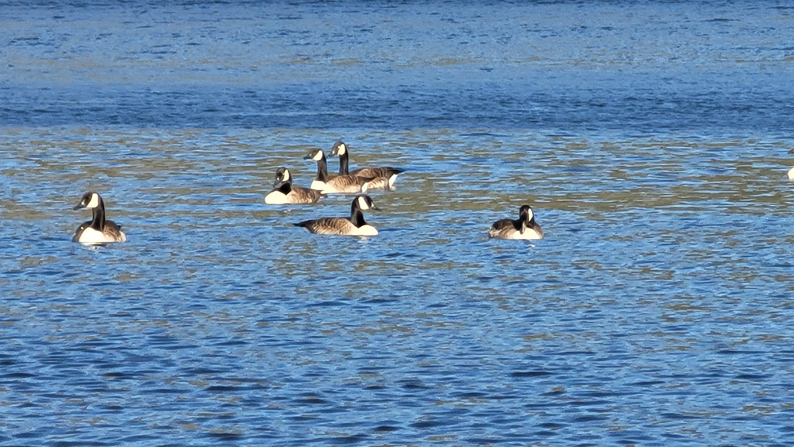 Surry Mountain Campground
