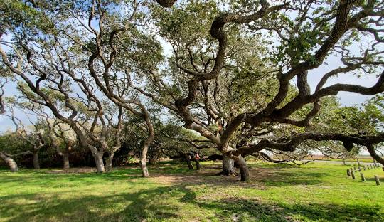 Goose Island State Park