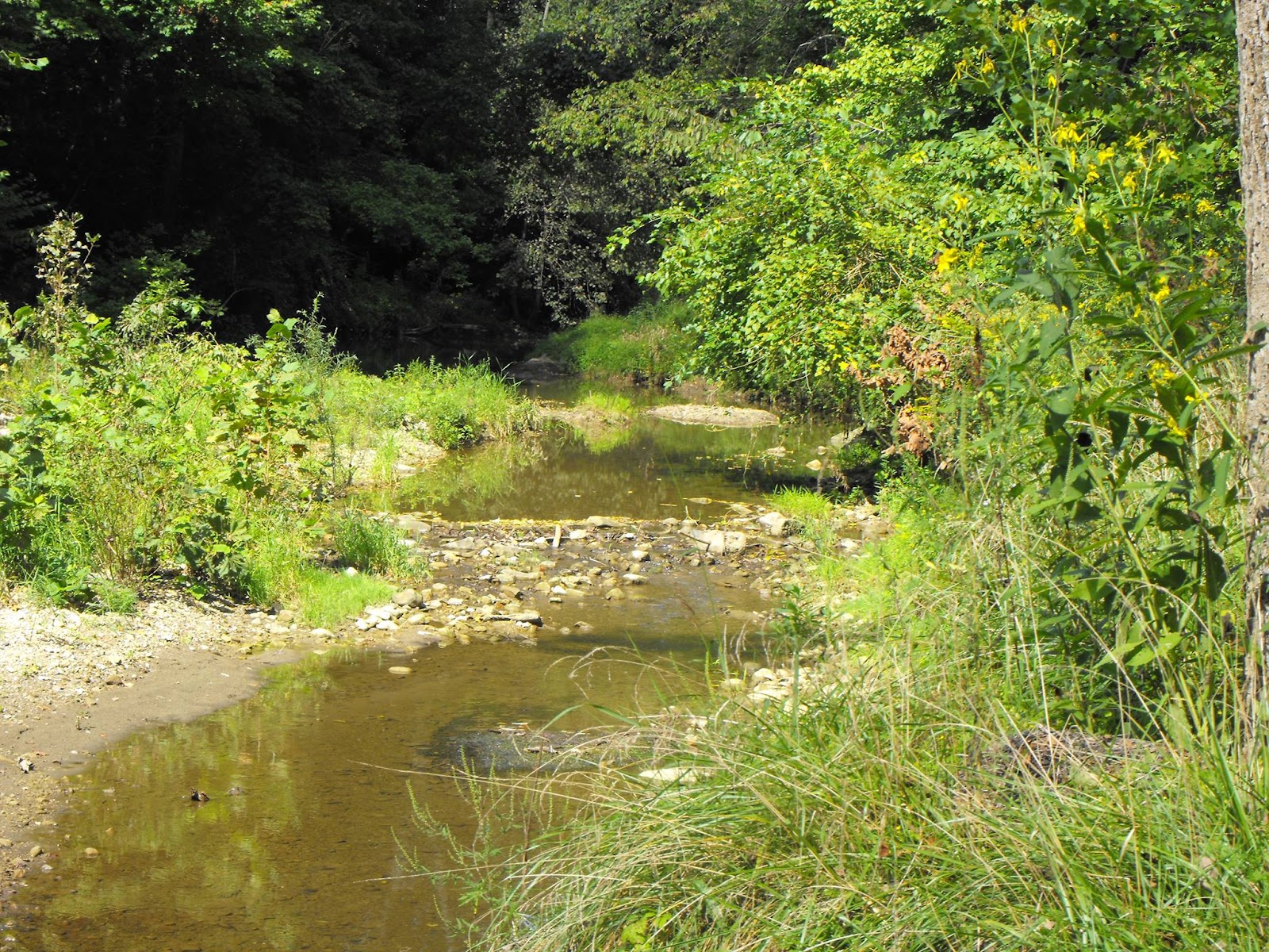 Rippling Stream Campground