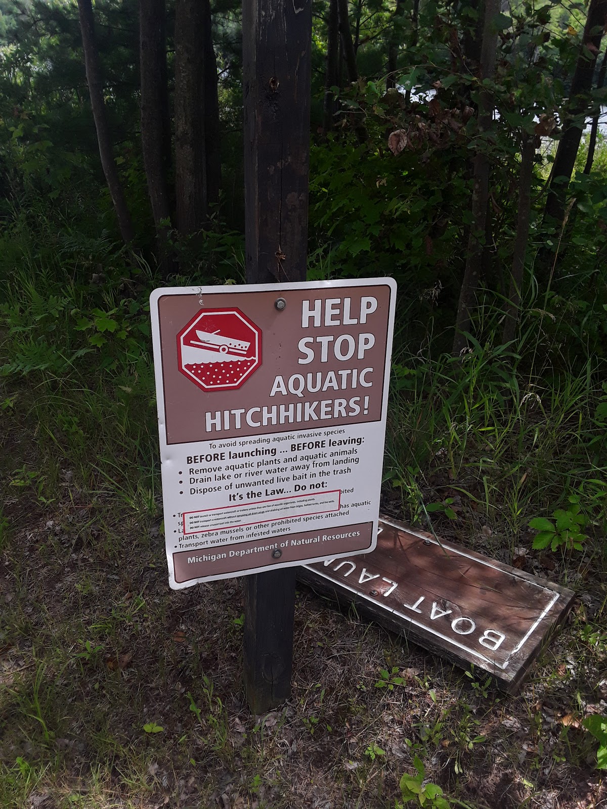 Garey Lake Trail Camp