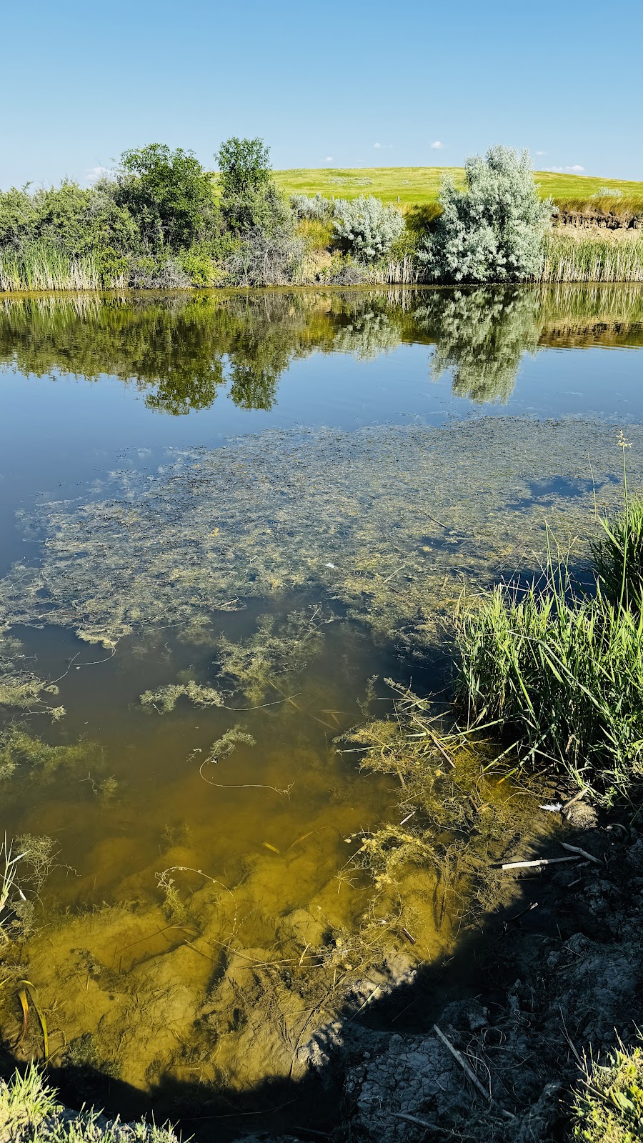 Sather Lake Campground