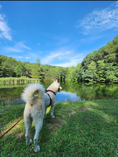 Tom Wallace Recreation Area