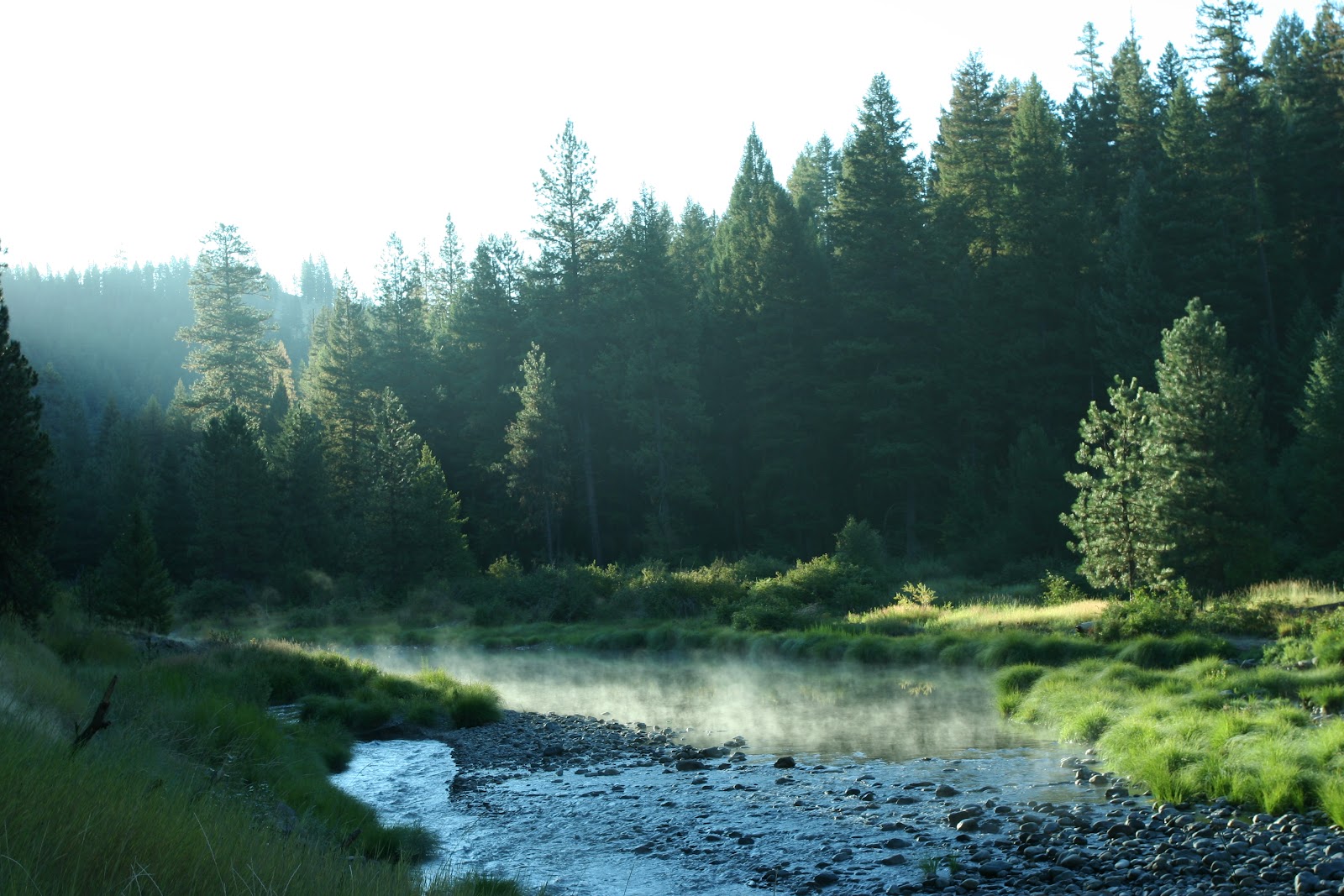 Gold Dredge Campground