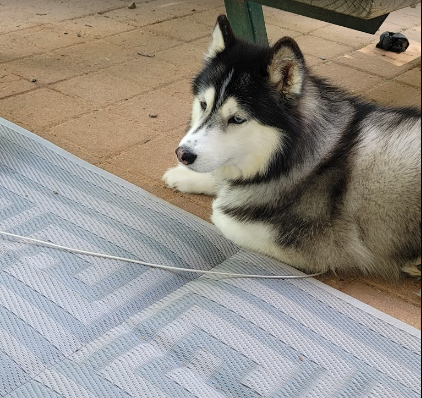 Cozy Acres Family Campground