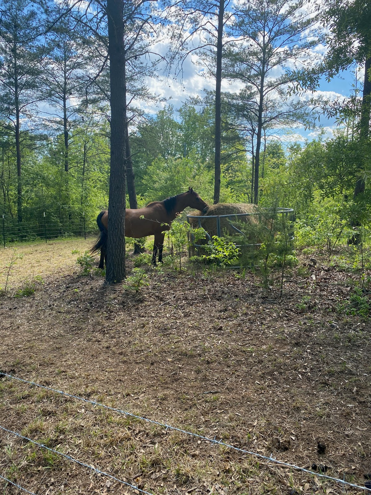 Lonesome Dove Campground & RV Park