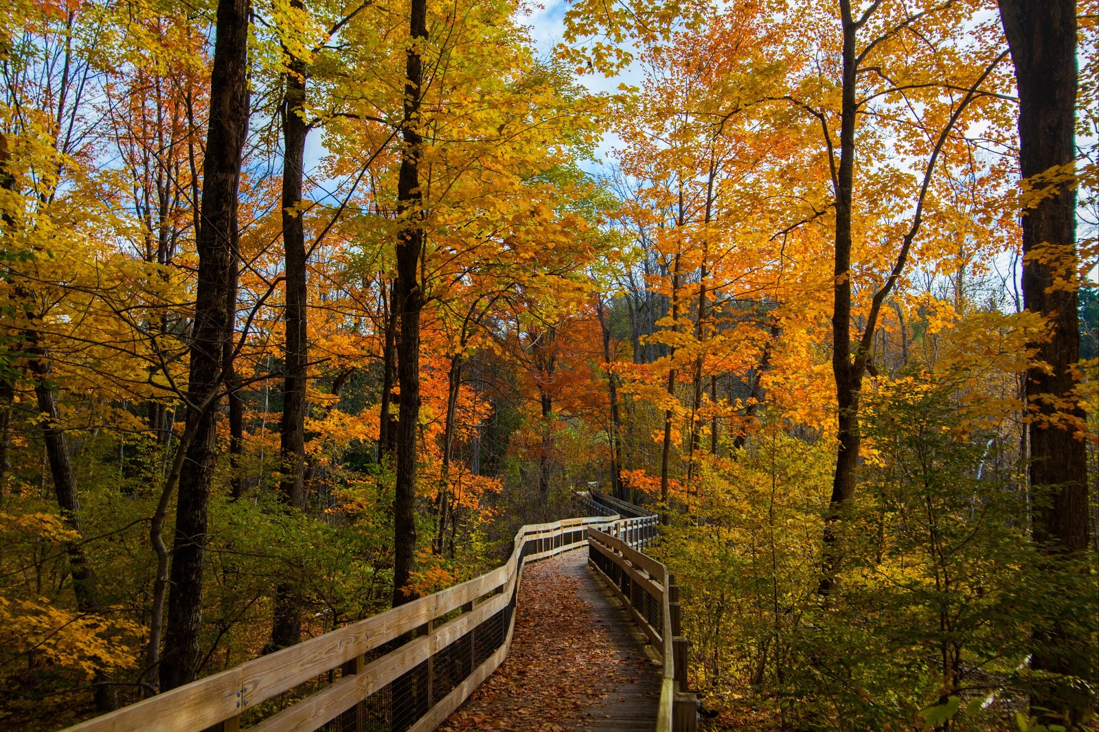 Chippewa Landing Campground