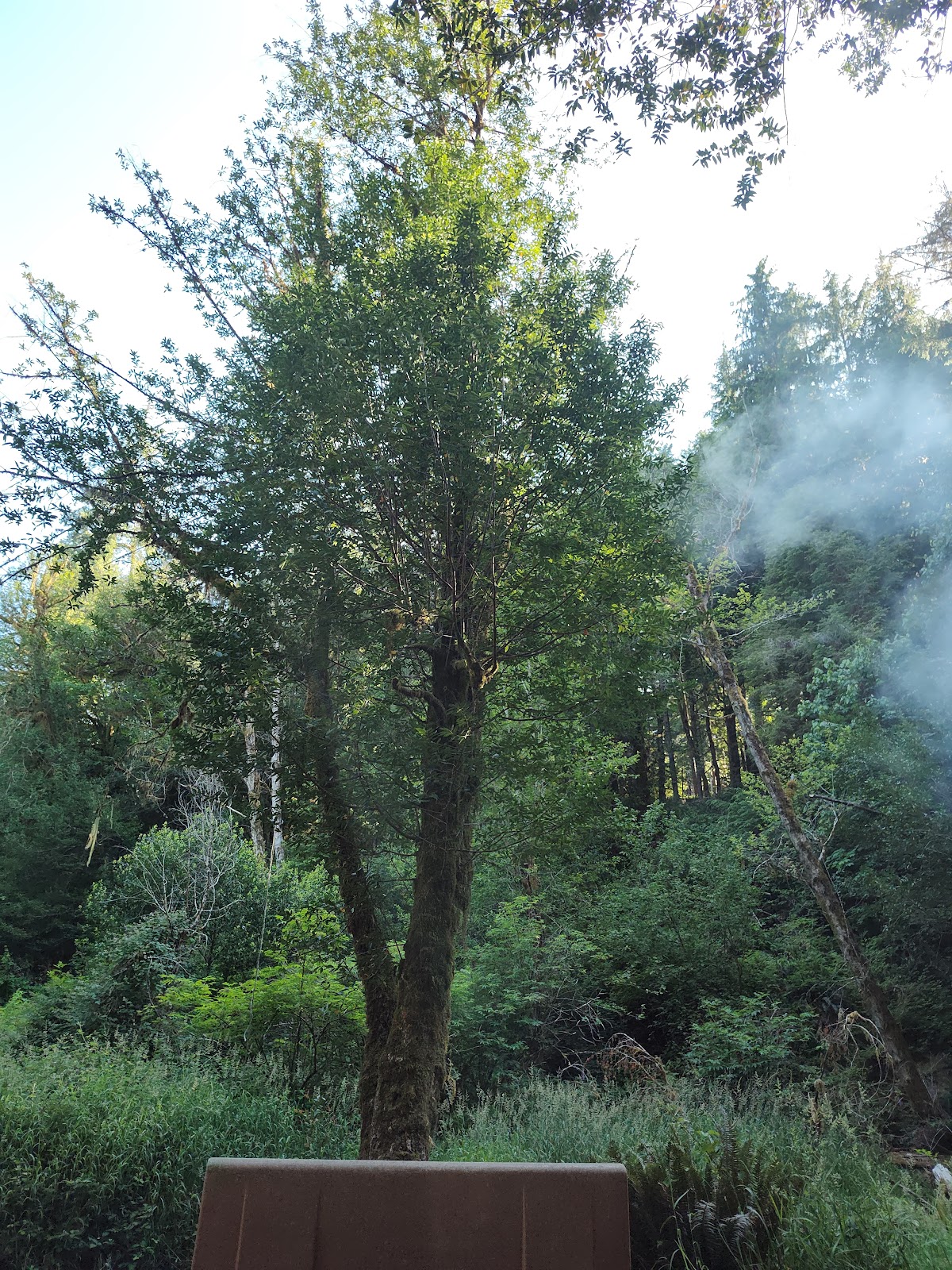 Park Creek Campground