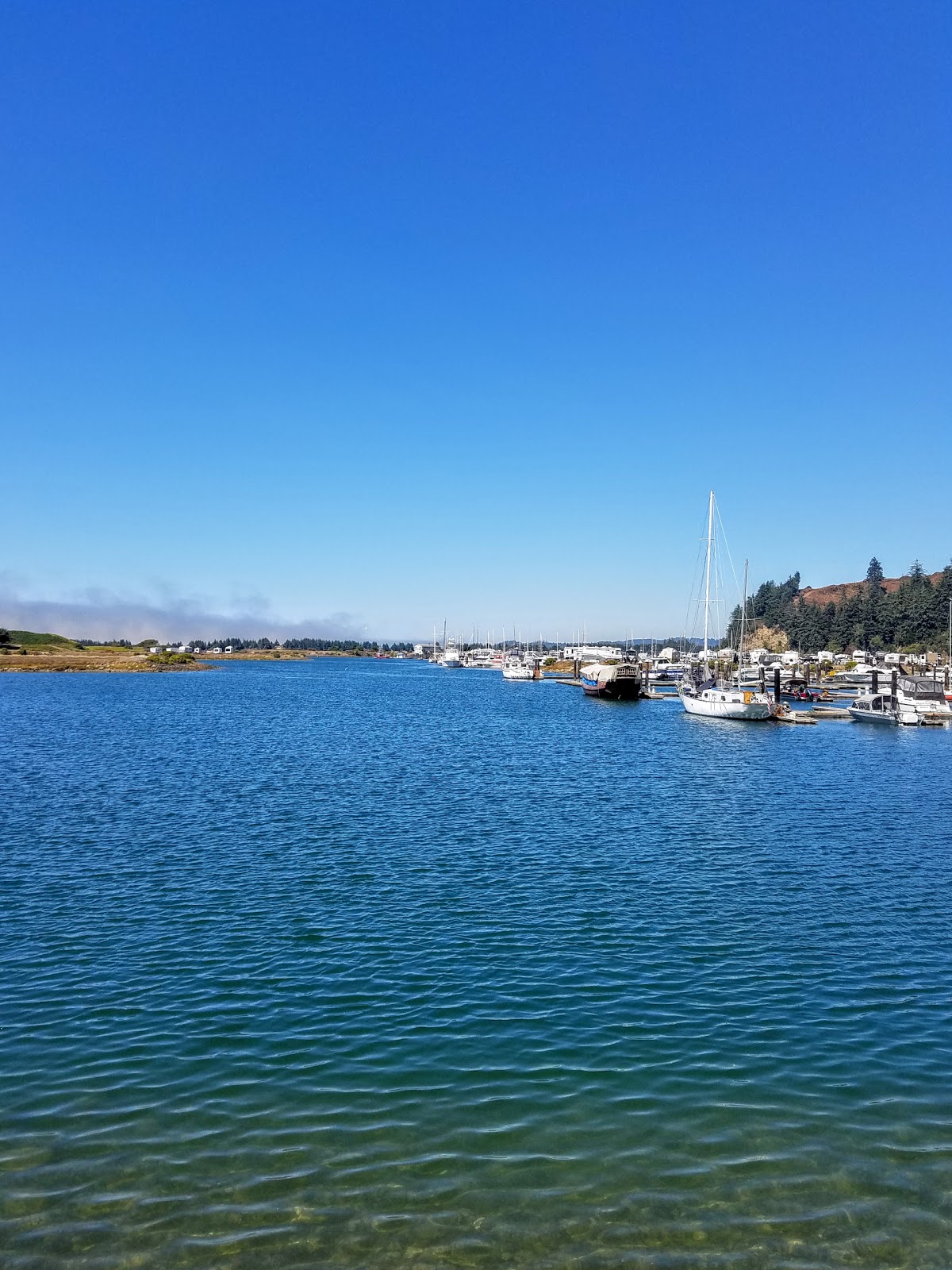 Windy Cove A RV Park and Campground