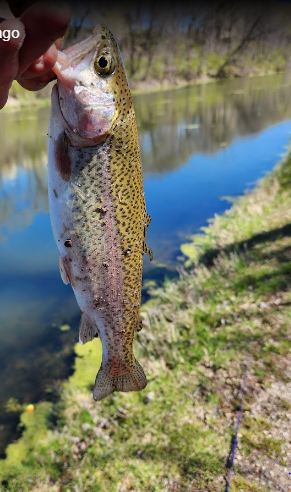 Hennepin Canal State Trail