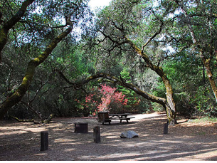 Paradise Cove Camping Resort